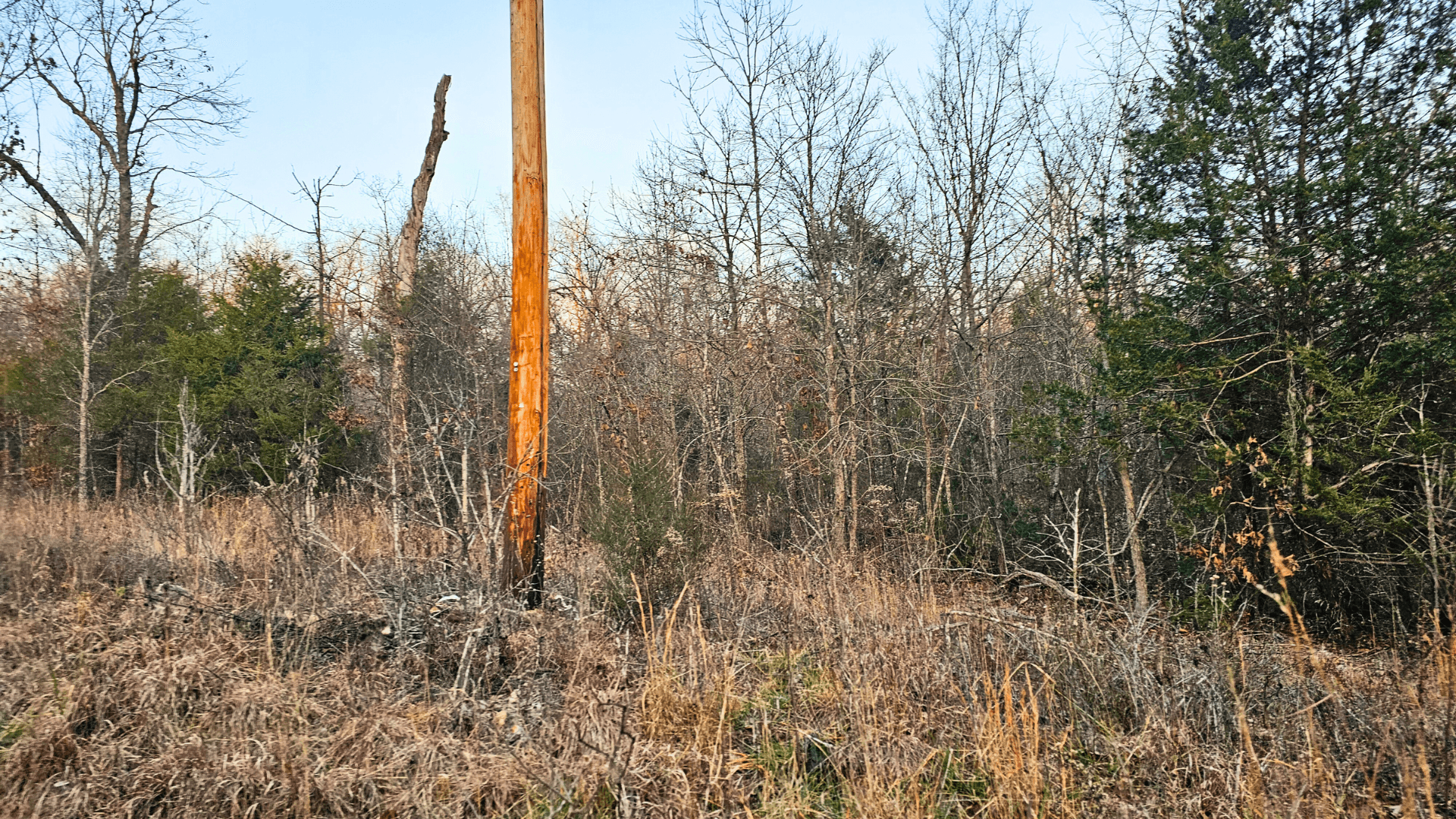 Seminole Fifth - 0.99 Acres Sharp County, Arkansas · APN 300-00616-000 — Sharp County land for sale
